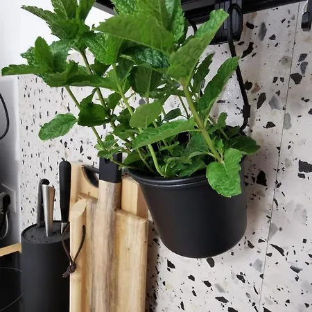 Vanja Apartment Zrnovo