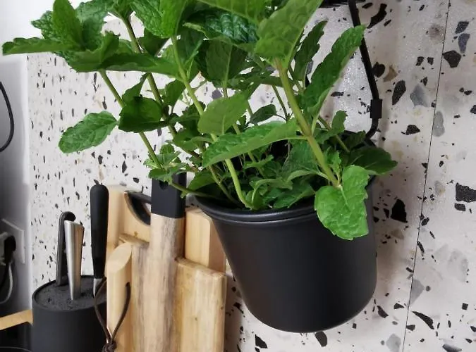 Vanja 아파트 Zrnovo